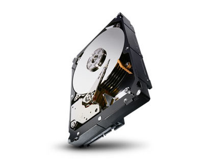 İşletme Kapasitesi 3,5 Sabit Diski 