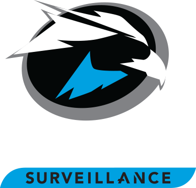 skyhawk-logo.png