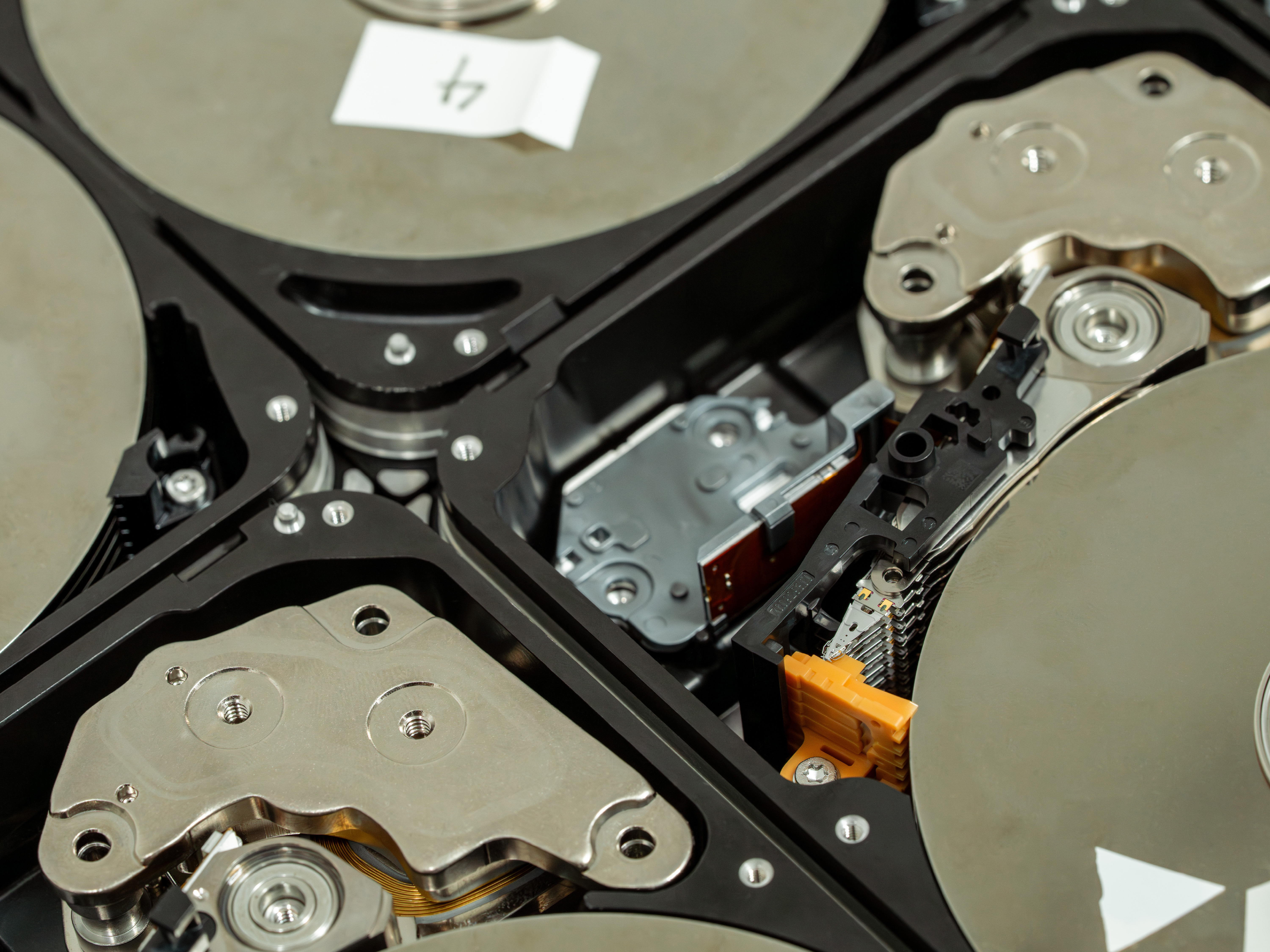 earth-day-blog_1440x900