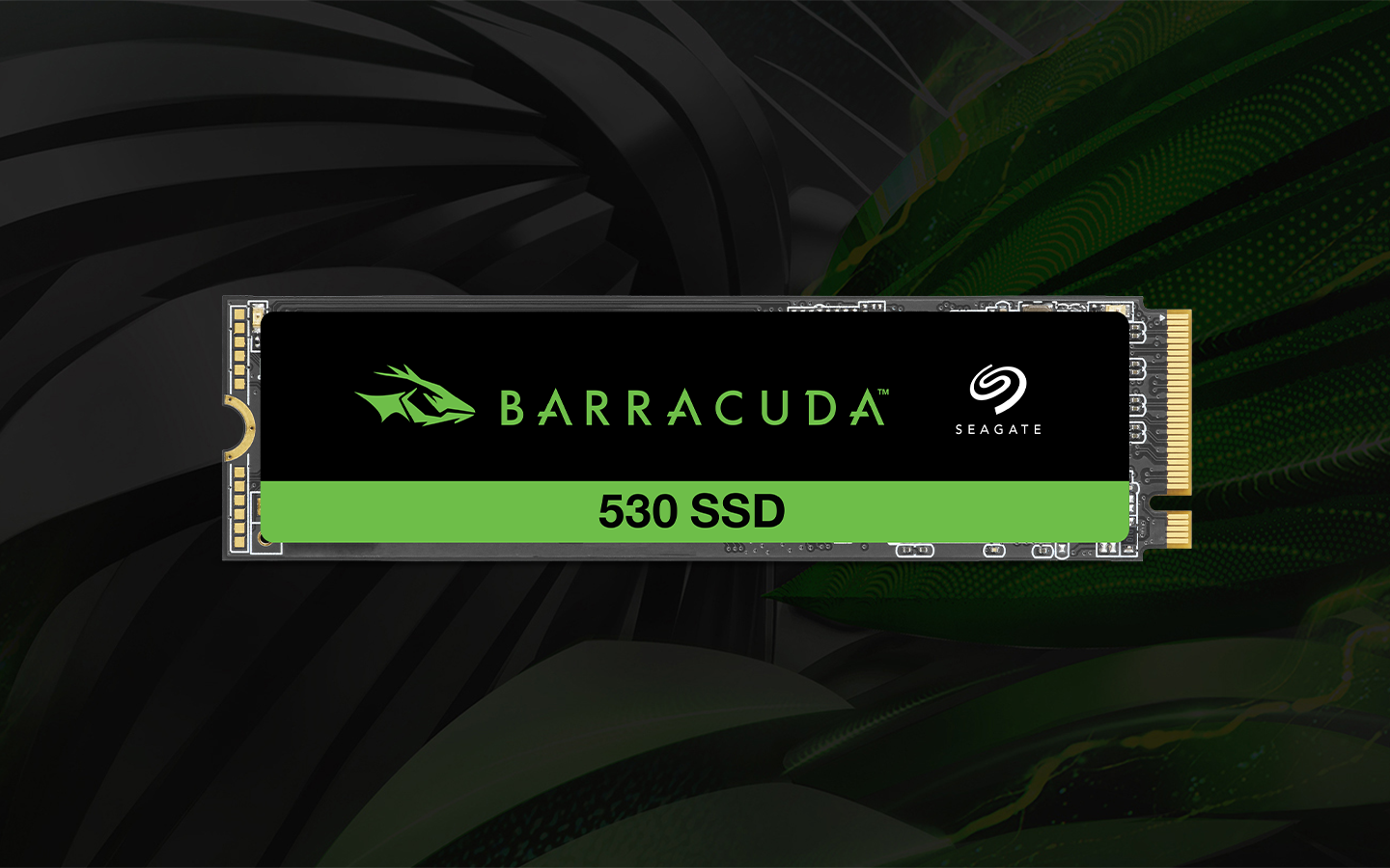 Seagate BarraCuda 530 SSD sits on edge facing forward.