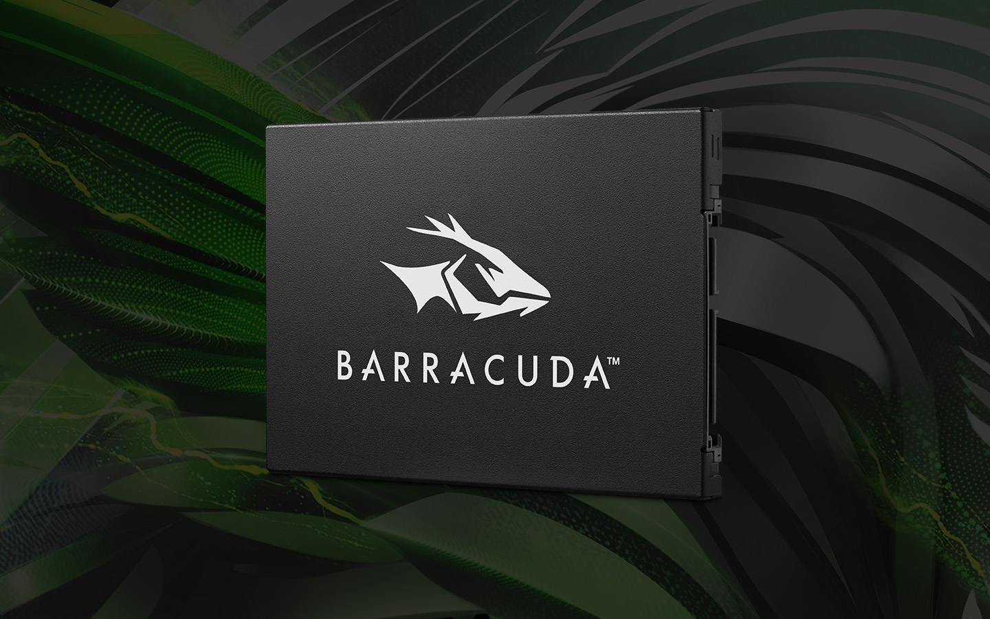 Seagate BarraCuda internal SSD faces forward while sitting on a textured background.