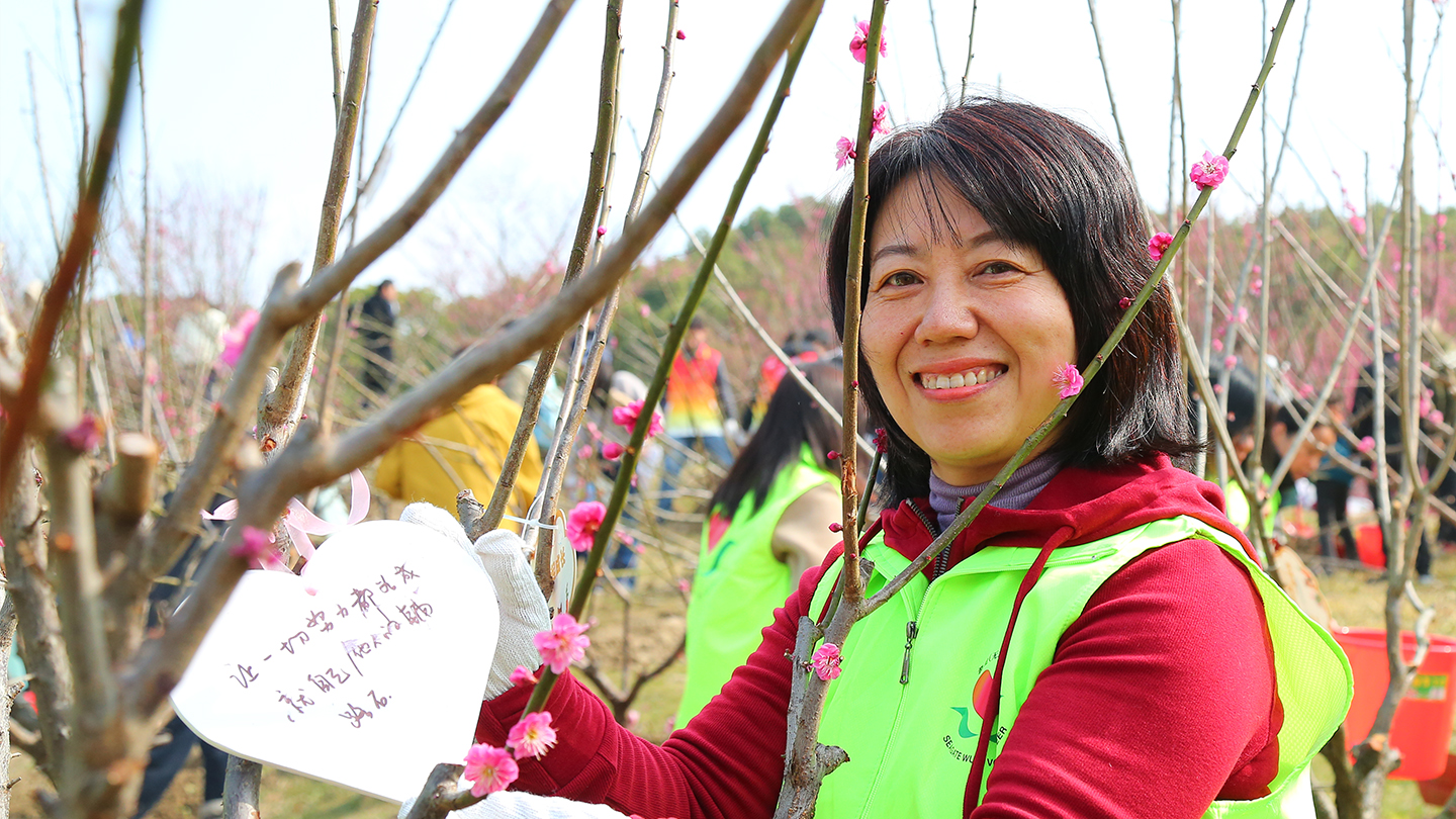 Person wearing a red hoodie and yellow safety vest stands next to a young cherry blossom tree. 