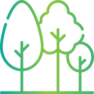 Trees icon