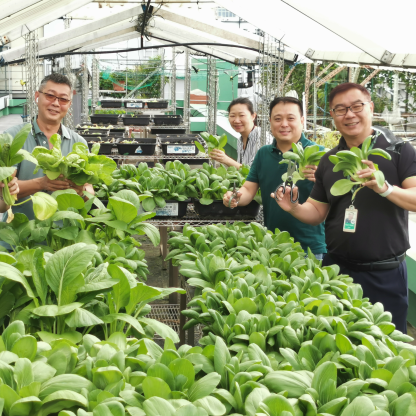 Seagate employees standing next to a vegetable garden holding plants.
