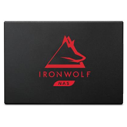 ironwolf-125-ssd-front-high-reso-1000x1000.jpg