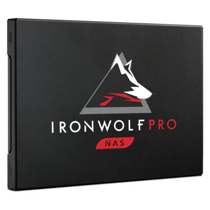 ironwolf-pro-125-ssd-hero-right-high-reso-1000x1000.jpg