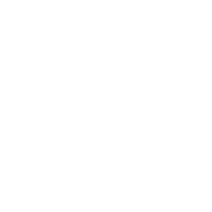holon-logo-416x416.png