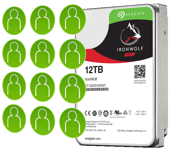 Ironwolf-synologyvietnam