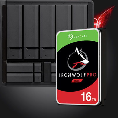 Ironwolf Pro Front
