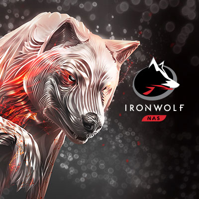 Ironwolf Pro Nas