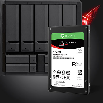 IronWolf 110 3.84TB Black SSD