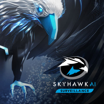 SkyHawk AI 16TB Surveillance