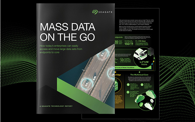 Mass Data on the Go Report