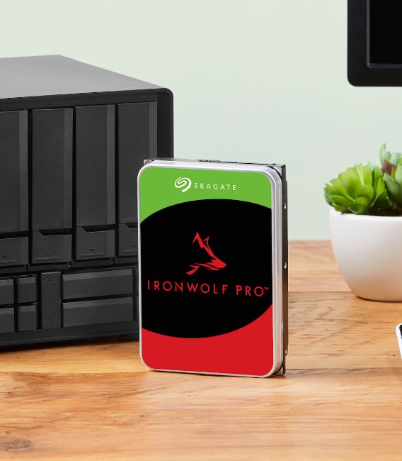 HDD Seagate IronWolf Pro