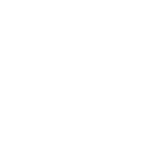 Reliable SAN Storage for VMware Logo